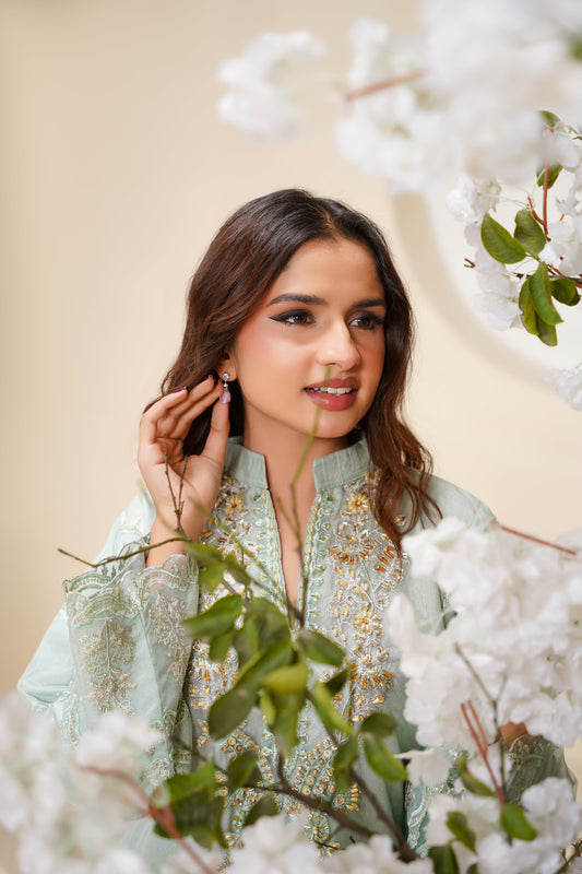Tehwar - Luxury Organza Outfit - Festive Collection - Ready to Wear - Eid25 - TehV6D6