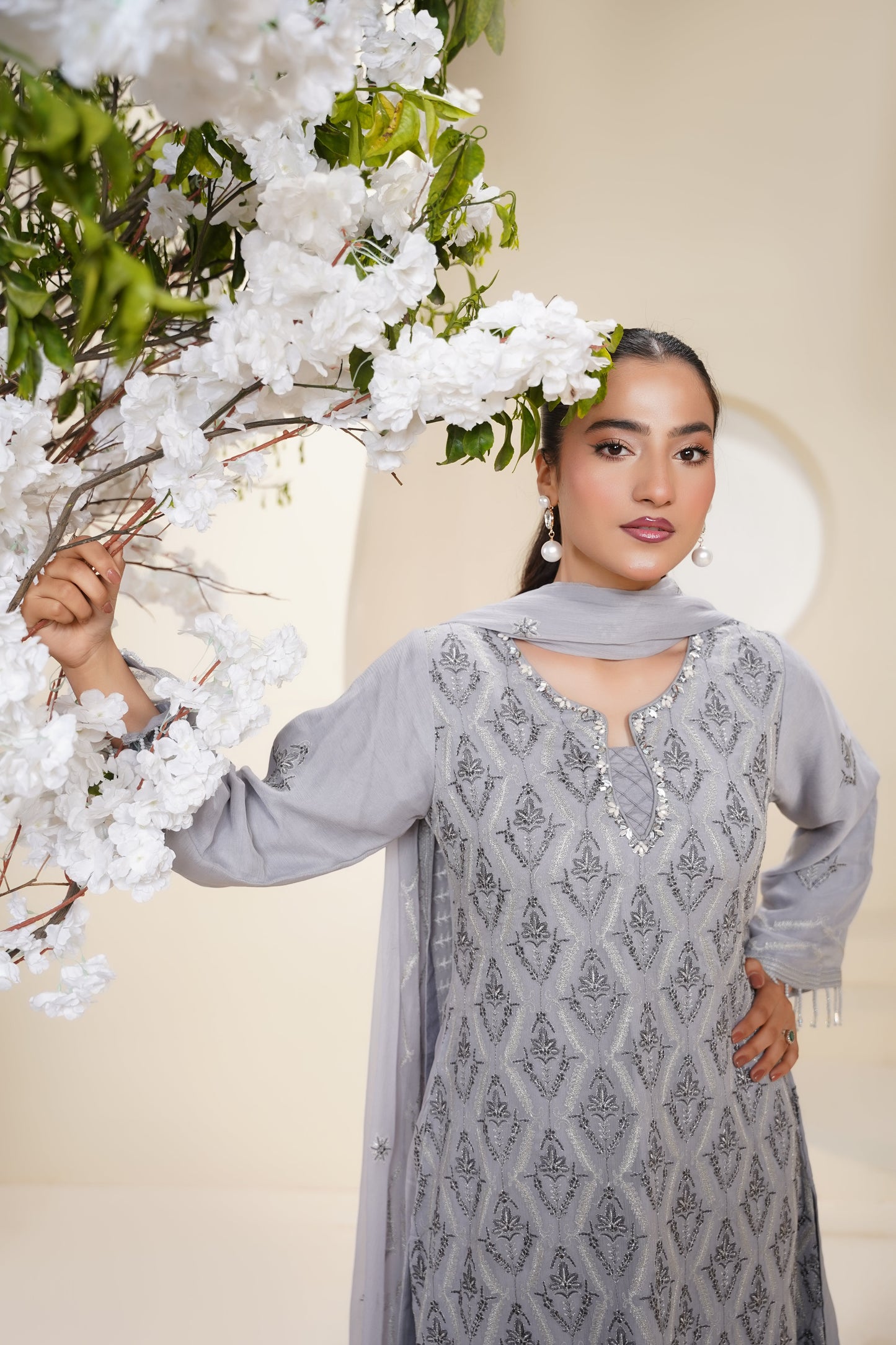 Husan e Jahan - Luxury Chiffon Outfit with Chiffon Dupatta - Ready to Wear - Eid25 - HEJGreyV3D2