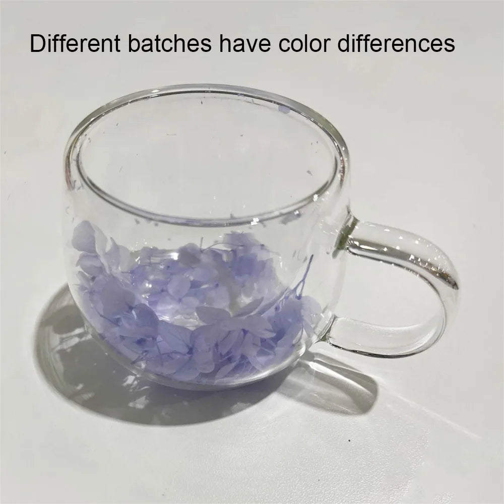 Juice Coffee Tea Cup Dried Flower Glass Cup Milk Mug with Handle Double Wall Mug Heat Resistant 150ML Clear Glass Cup Household