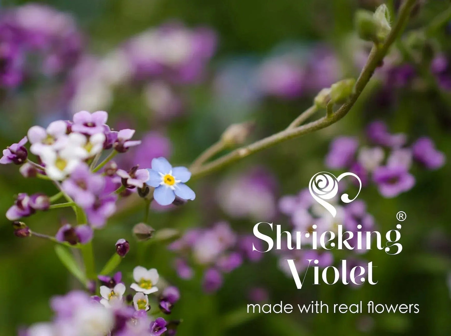 Sterling Silver Bracelet with Real Flowers | Multi-Flower Charm Bracelet by Shrieking Violet®